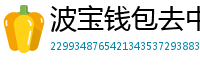 波宝钱包去中心化下载